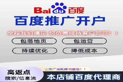 百度竞价包年推广案例深度剖析